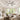 Kviflon 8256 52 inch downrod ceiling fan with light installed in a living room