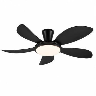 Kviflon 8907 48 inch standard LED flush mount ceiling fan with light in black finish