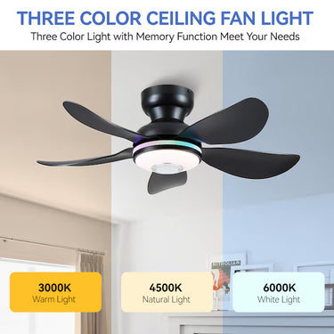 RGB with Bluetooth Speaker Ceiling Fan | Quiet, App & Remote Control | 8922 RGB