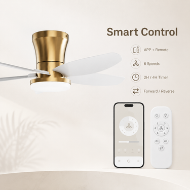 Gold Wing Blade Ceiling Fan | Quiet, App & Remote Control |6666