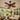 Kviflon 8250 wet-rated tropical ceiling fan with Tiffany light installed in a covered patio