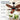 Wet-rated indoor and outdoor use feature of Kviflon 8250 tropical ceiling fan