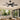 Kviflon 8900 46 inch ceiling fan with light installed in a covered patio setting