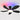 Kviflon 8907 48 inch RGB flush mount ceiling fan with light in black finish