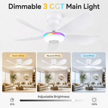 Dimmable white LED light on Kviflon 8922 RGB Bluetooth ceiling fan