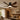 Kviflon 8922 standard brown LED low profile ceiling fan with light installed in a modern bedroom