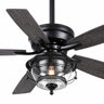 Kviflon A5012 52 inch modern outdoor ceiling fan with light, wet rated waterproof matte black fan with teardrop glass shade for patio.
